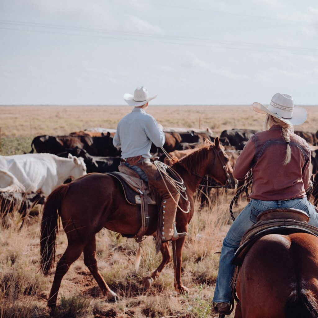 Is Amarillo, Texas a Good Place to Live? 8 Pros and Cons of Living in