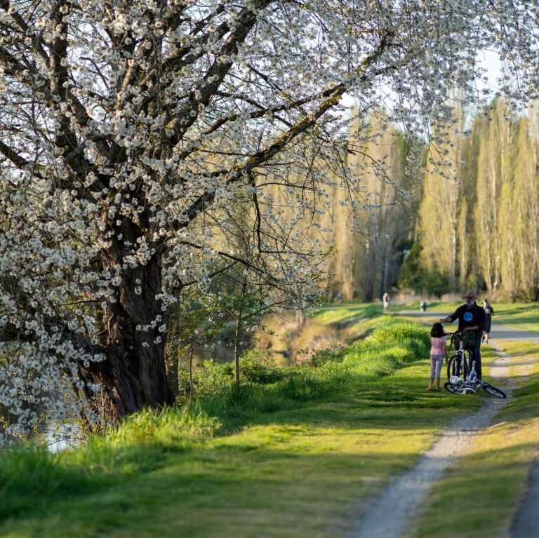 10 Best Places to Live in Washington State 2024 Updated Rankings